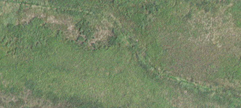 Springfield, MN 56087