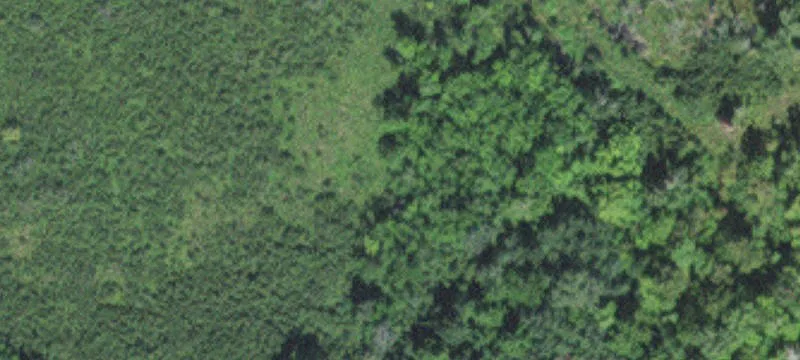Tamarack, MN 55787