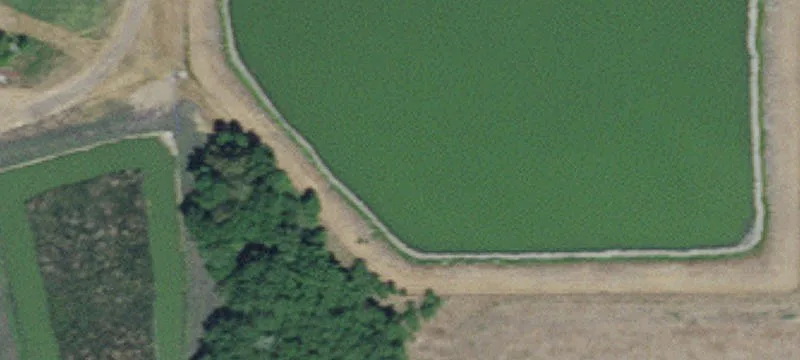 Andover, MN 55304
