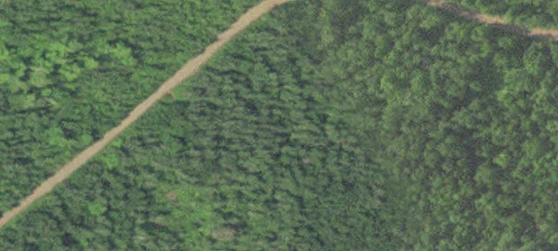 Silver Bay, MN 55614