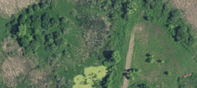 Sauk Centre, MN 56378