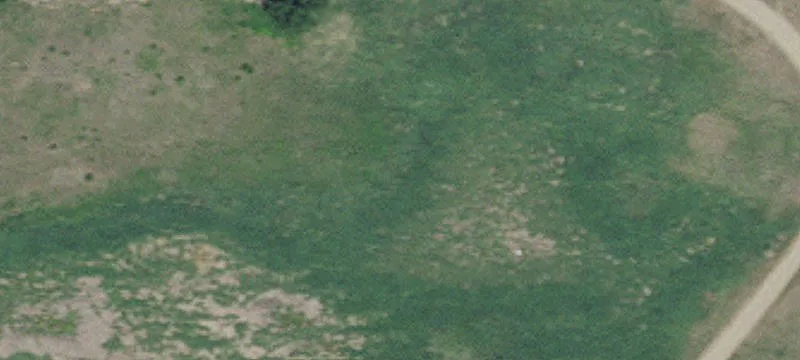 Cedar, MN 55011