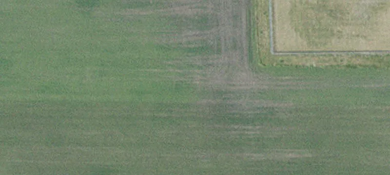 Winthrop, MN 55396