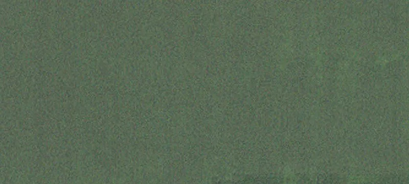 Dexter, MN 55926