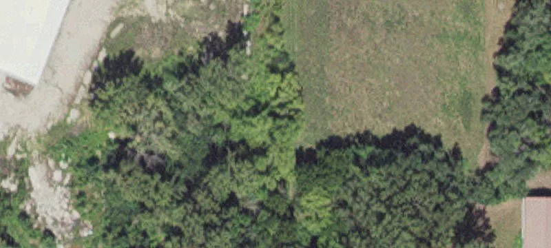 Madelia, MN 56062