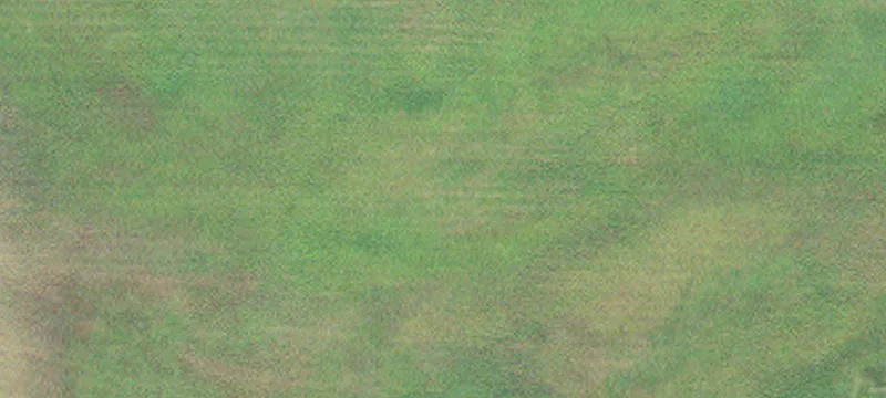 Aitkin, MN 56431