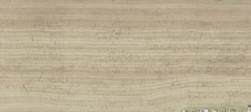 Richmond, MN 56368