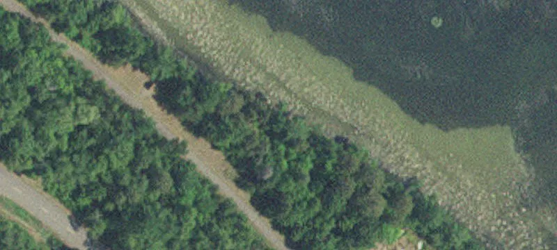 Nisswa, MN 56468