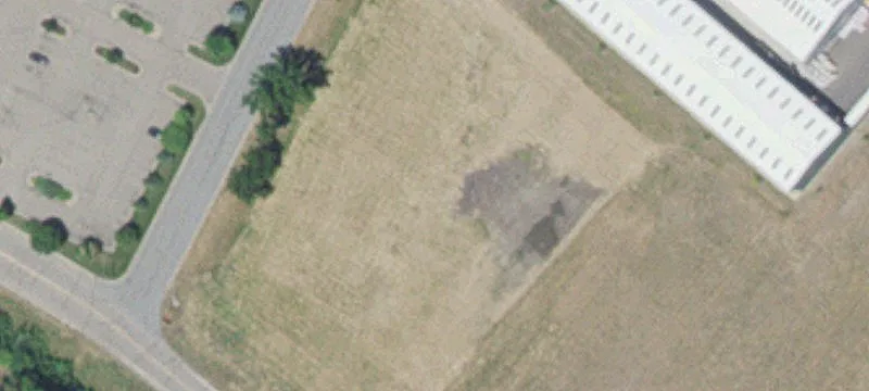 Dundas, MN 55019