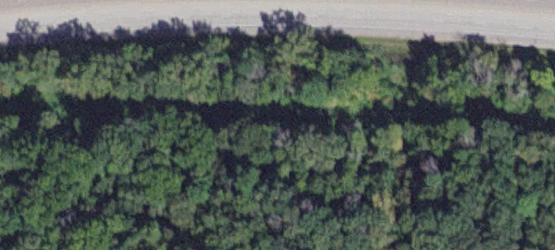 Minneiska, MN 55910