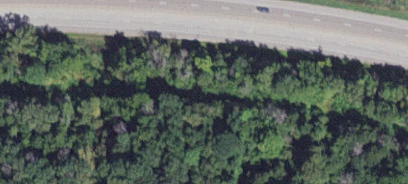 Minneiska, MN 55910