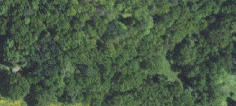Altura, MN 55910