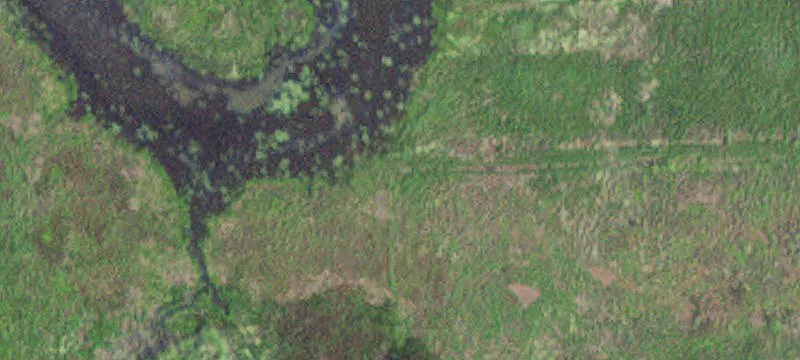 Altura, MN 55910
