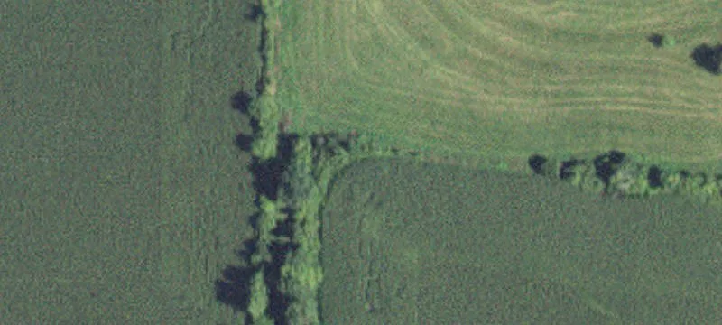 56496 375th Ave