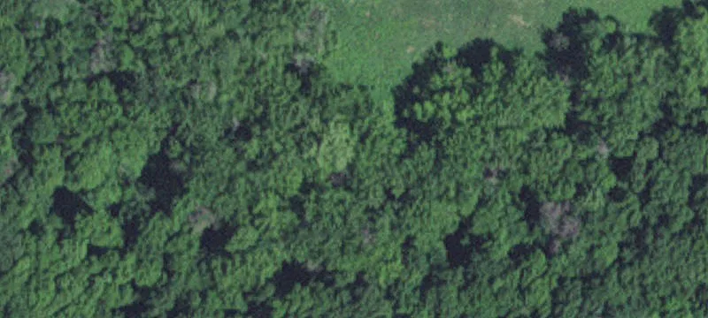 64708 County Rd 19