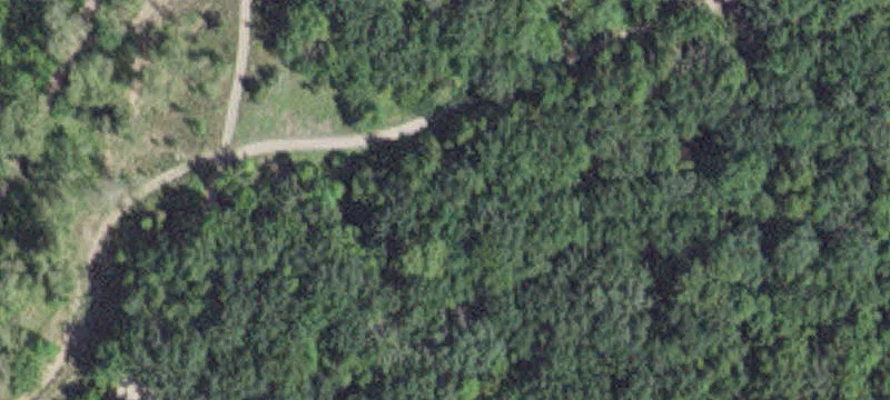 Mazeppa, MN 55956