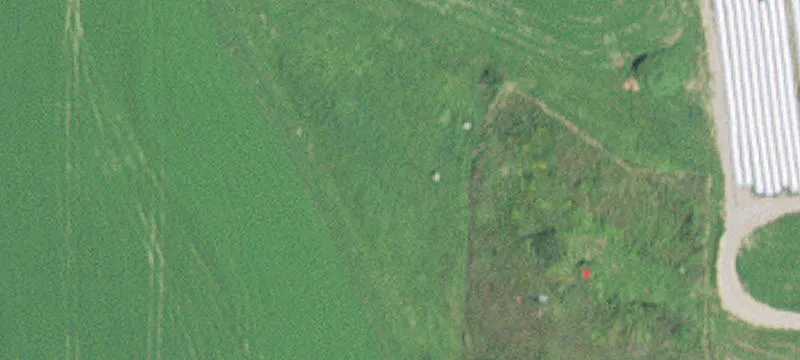 Plainview, MN 55964