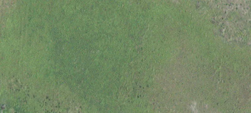 Kellogg, MN 55945