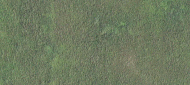 Kellogg, MN 55945