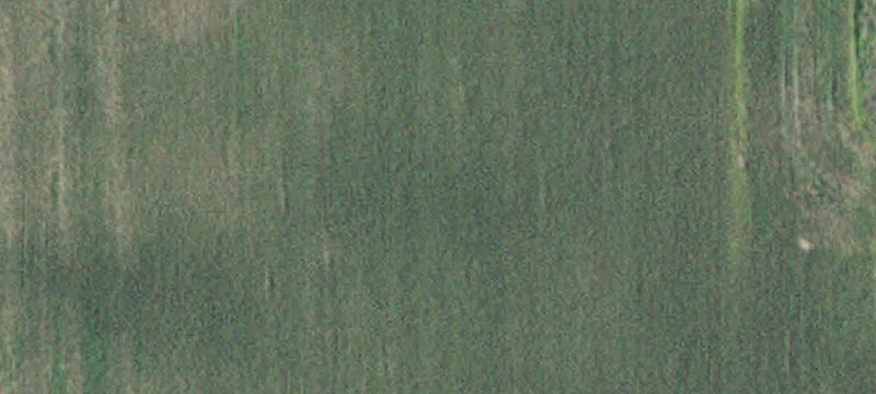 Kellogg, MN 55945