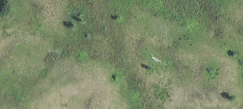 Kellogg, MN 55945
