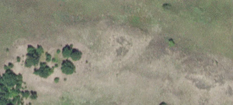 Kellogg, MN 55945