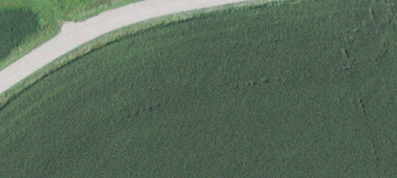 Altura, MN 55910