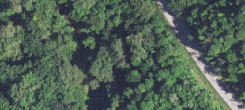 Zumbro Falls, MN 55991