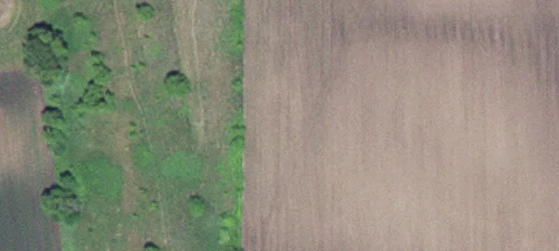 Wabasha, MN 55981