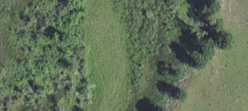 Kellogg, MN 55945