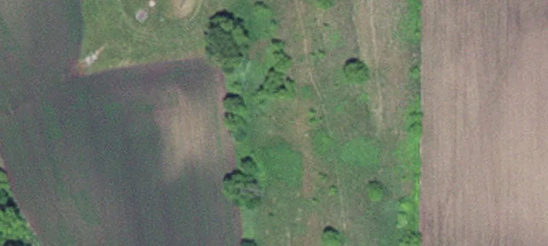 Wabasha, MN 55981