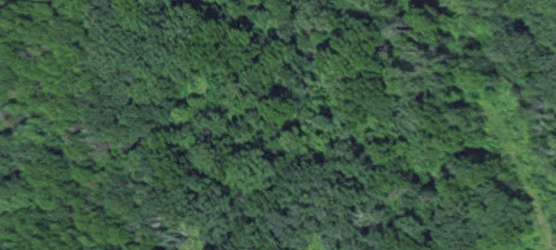 Wabasha, MN 55981