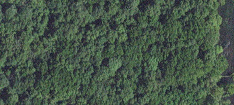 Mazeppa, MN 55956