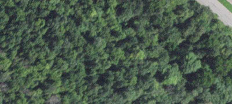 Altura, MN 55910