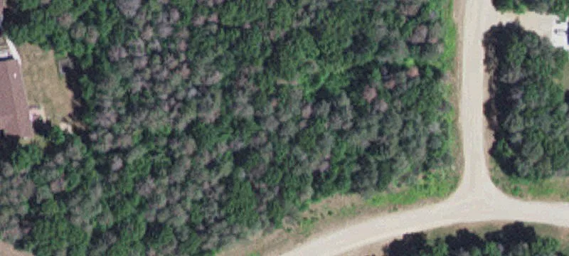 Wabasha, MN 55981
