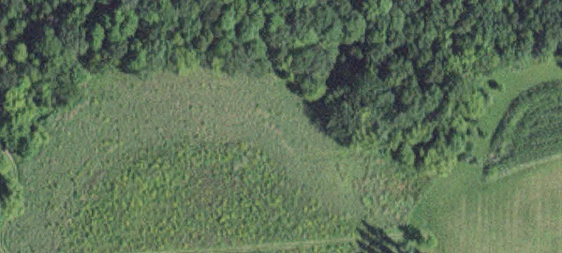 19282 County Rd 14