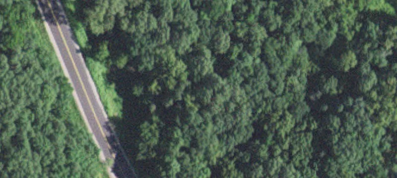 Zumbro Falls, MN 55991