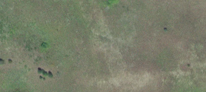 Kellogg, MN 55945