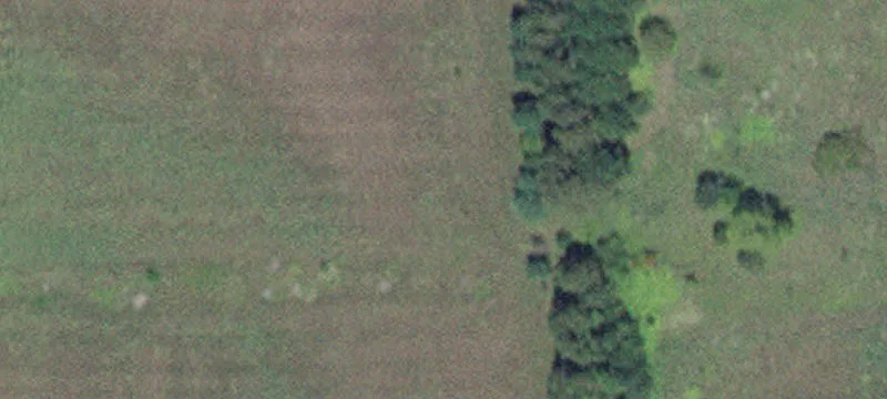 Kellogg, MN 55945