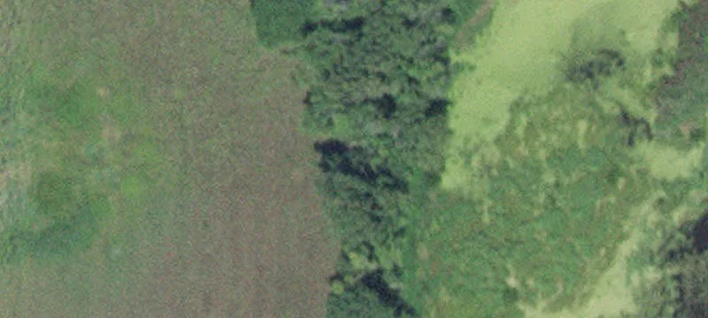 Kellogg, MN 55945