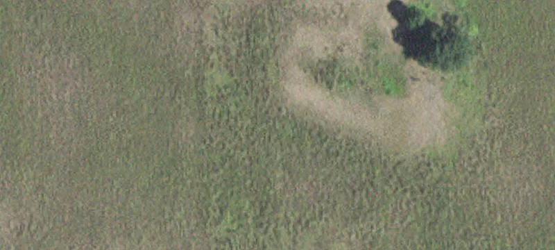 Kellogg, MN 55945
