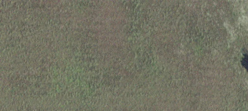 Kellogg, MN 55945