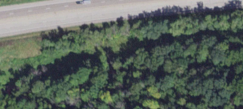 Minneiska, MN 55910