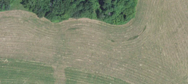 Wabasha, MN 55981