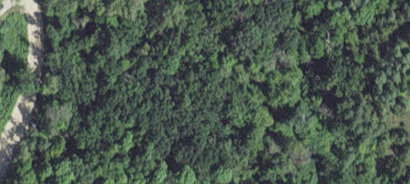 Zumbro Falls, MN 55991