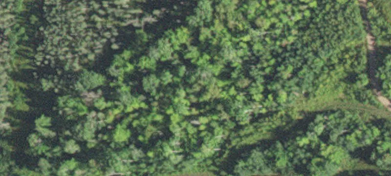 Saginaw, MN 55779