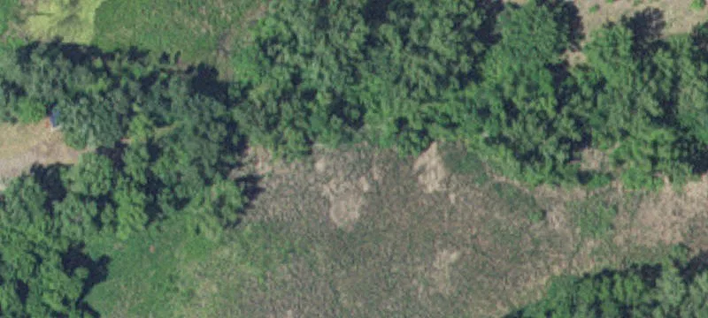 Richmond, MN 56368