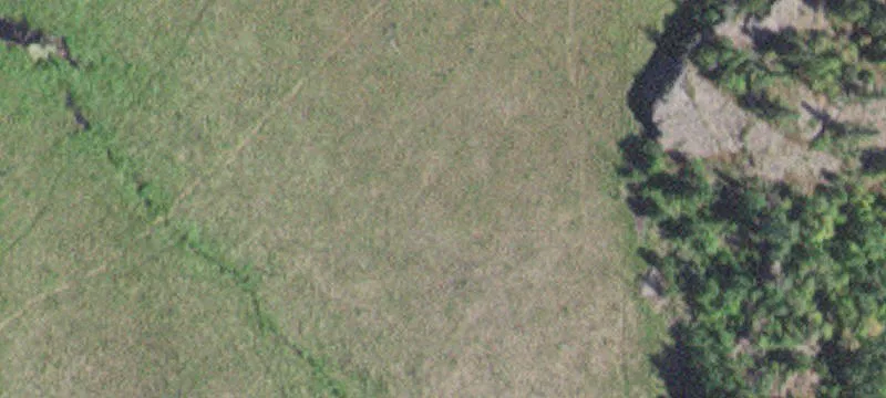 Ely, MN 55731