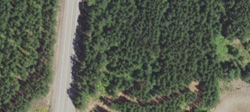 8308 Hwy 21st N