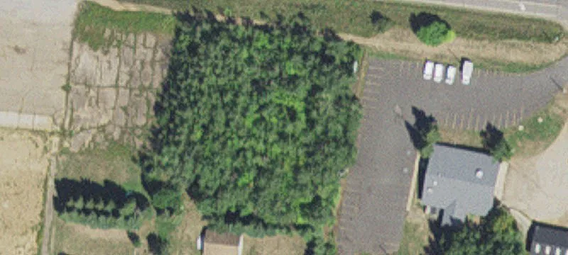 Hibbing, MN 55746